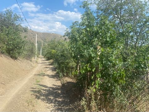 Участок 4 сот. (СНТ, ДНП)