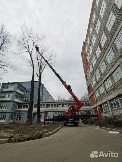 Спил деревьев,Расчистка участков,демонтаж построек