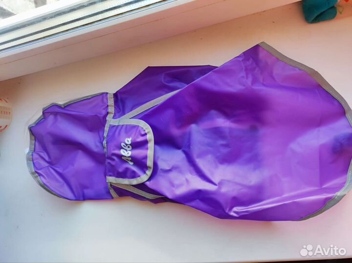 Амуниция для собак