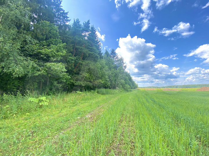 Участок 10 сот. (ИЖС)