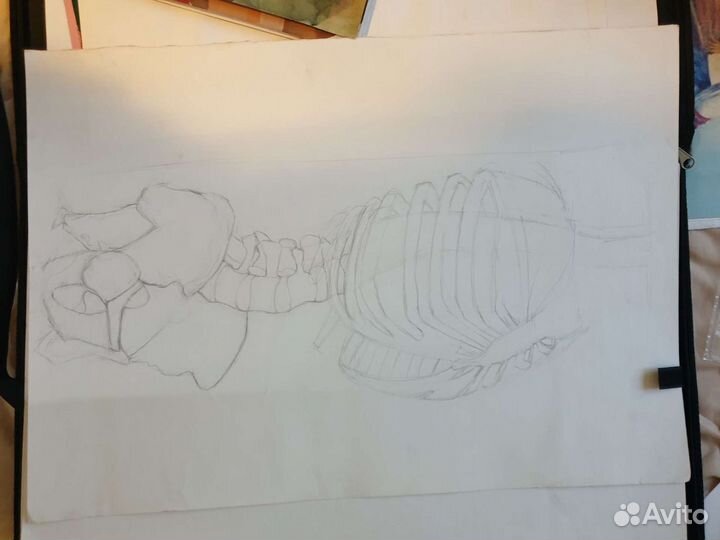 Работы по рисунку и живописи, графика