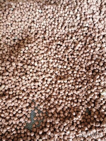 Сухой корм для собак