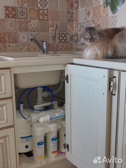 Обратный осмос Аквафор Осмо 50 исп. 5