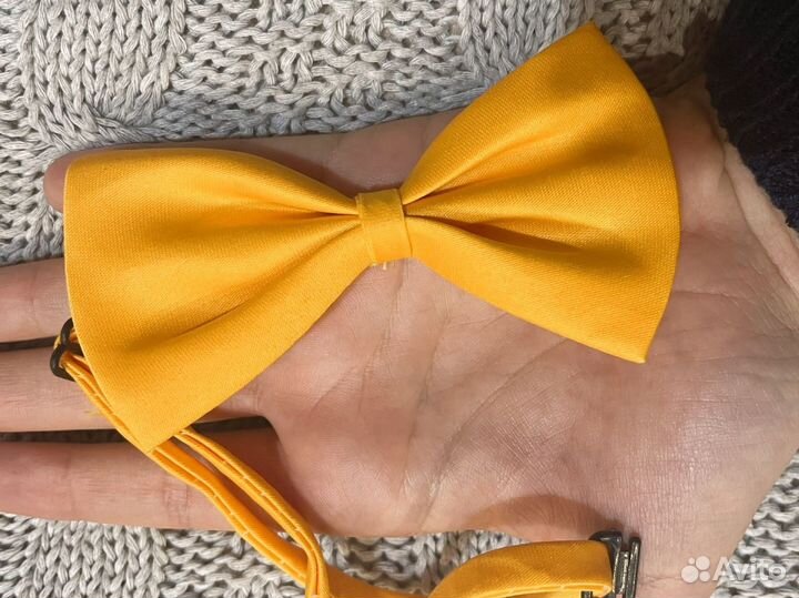 Бабочка для собаки или кошки