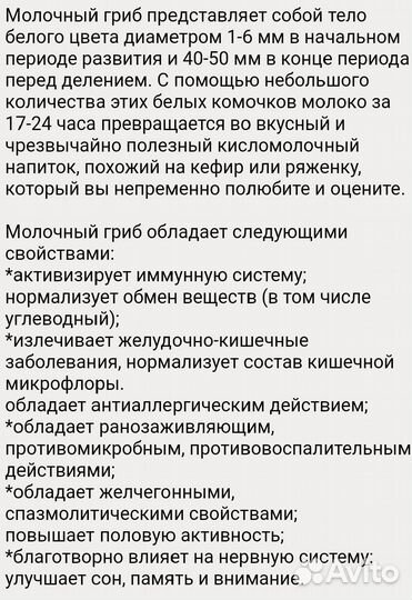 Тибетский кефирный гриб