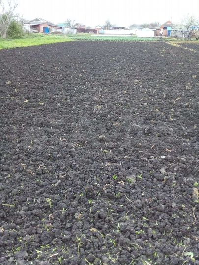 Участок 16,6 сот. (ИЖС)