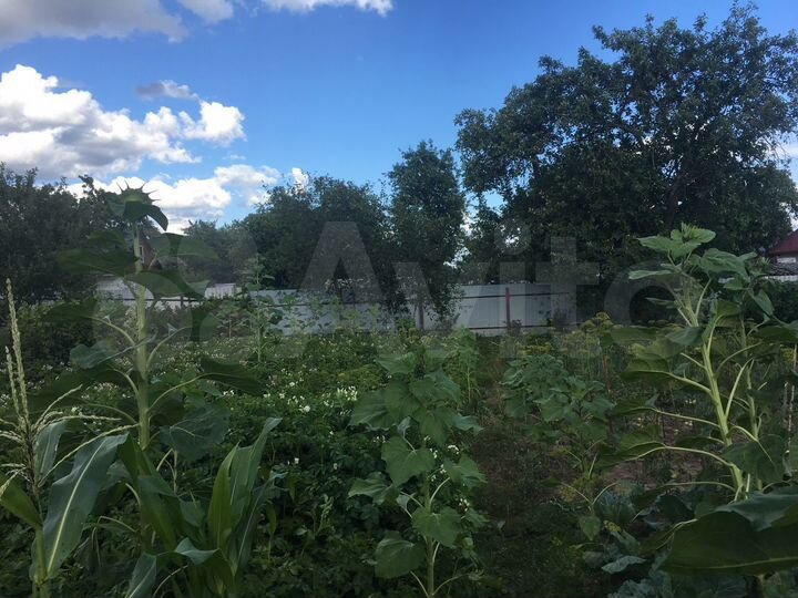 Участок 6 сот. (ИЖС)