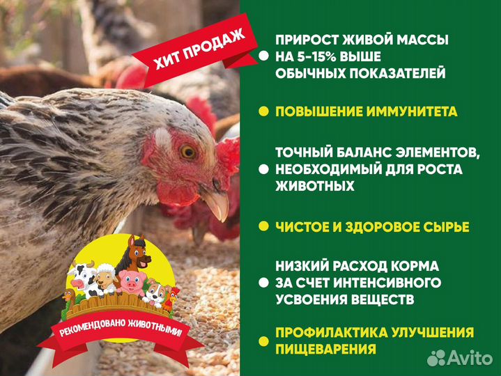 Жмых подсолнечника