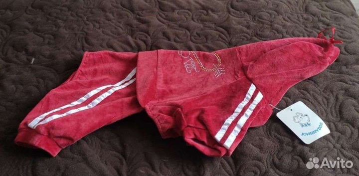 Одежда для питомцев