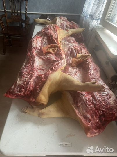 Мясо свинина домашняя