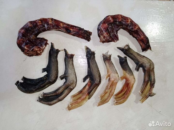 Лакомство для собак