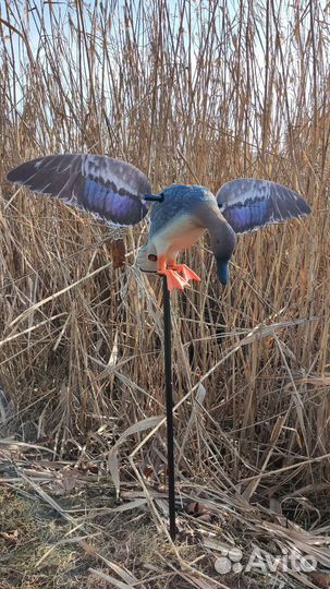 Махокрыл утка электромеханическая