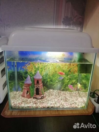 Аквариум
