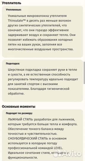 Варежки горнолыжные Level World Cup CF