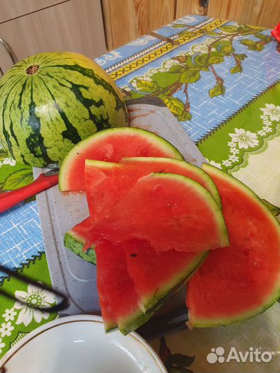 Арбуз 