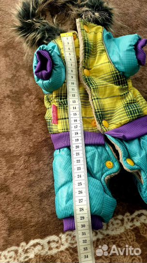 Одежда для собак