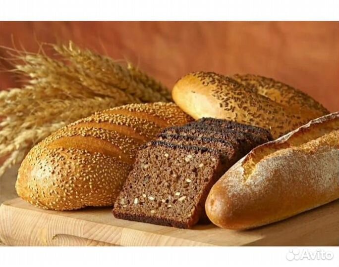 Корма для животных