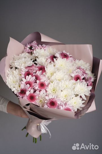 Растения, букет хризантемы, хризантема кустовая