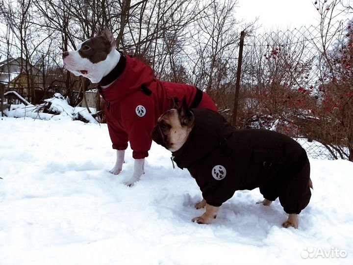 Зимний комбинезон для собак
