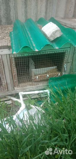 Клетки для кроликов
