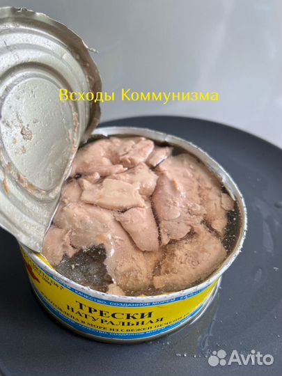 Печень трески сделана в море ж/б всходы коммунизма