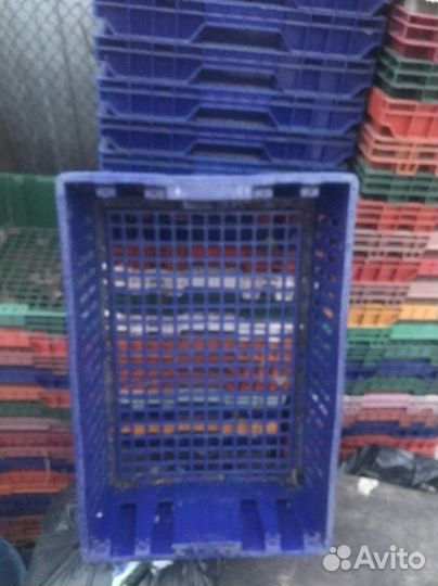 Ящик пластиковый- для рассады, овощей