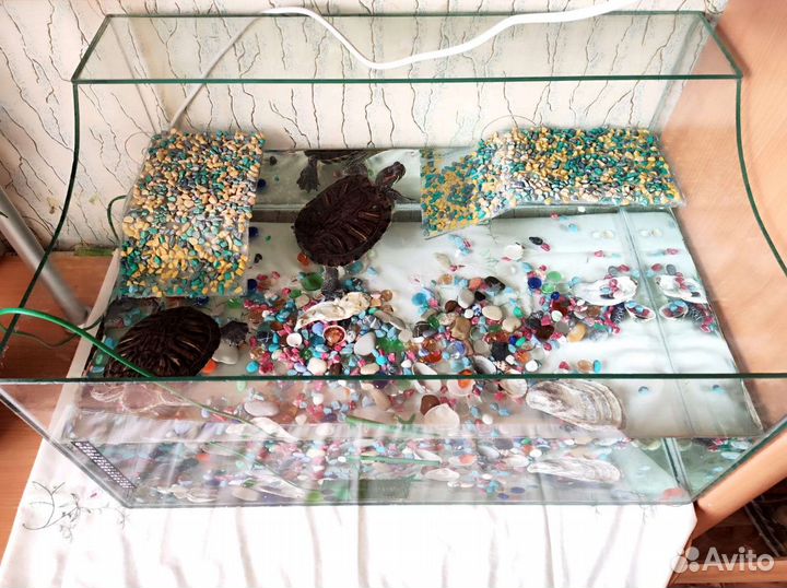 Аквариум для черепах 100 литров