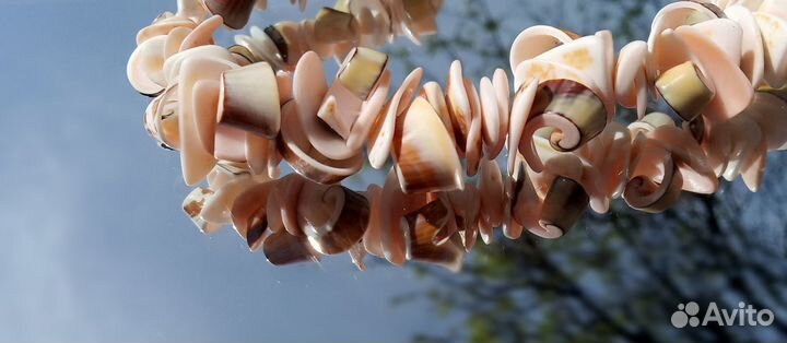 Бусы из ракушек