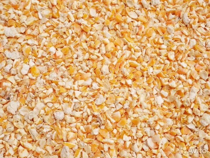 Кукуруза зерно колотая дробленая
