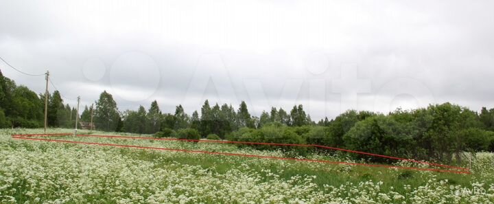 Участок 10 сот. (СНТ, ДНП)