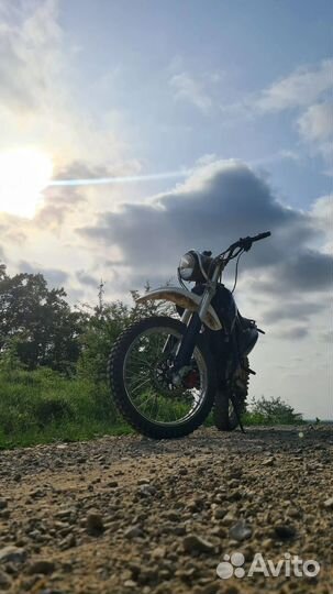 Roliz 250