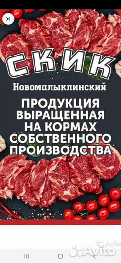 Работники в мясной цех