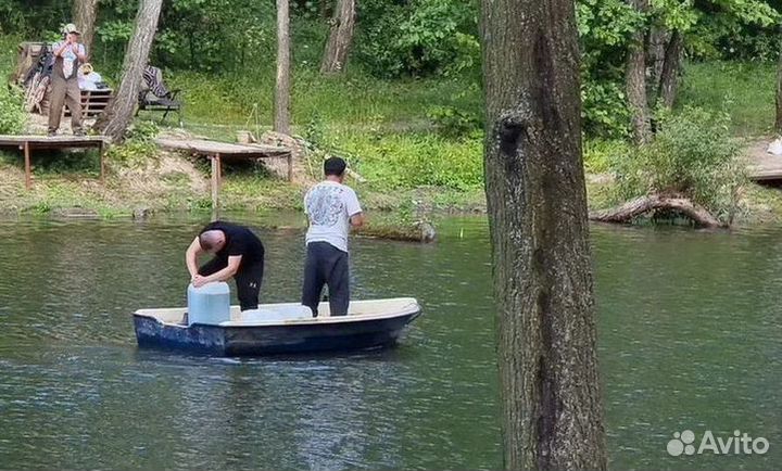 Хлорелла для чистки водоемов