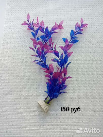 Мини аквариум для рептилий