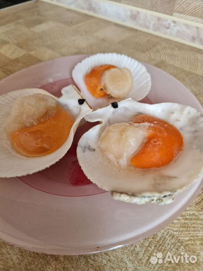 Морской гребешок