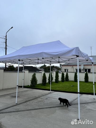 Аренда шатров на мероприятие