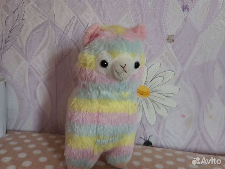 Маленькая альпака