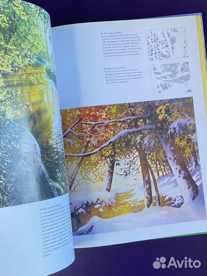 Акварель. Рисуем деревья и листья