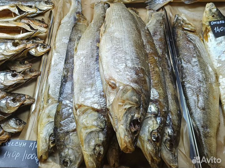 Муксун слабосолёный