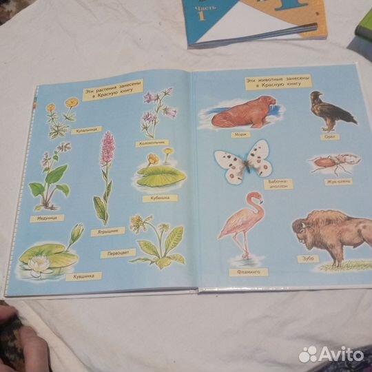 Учебник окружающий мир 1 класс