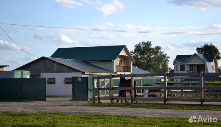 Постой лошади