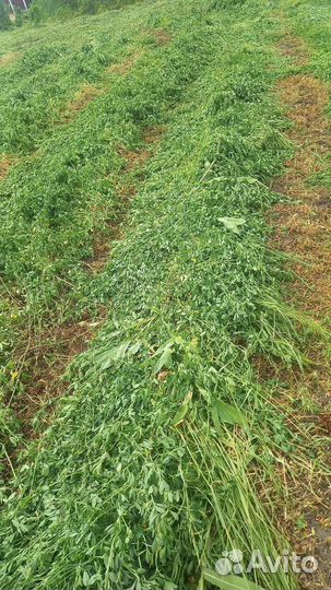 Сено солома в тюках,укос 2023г