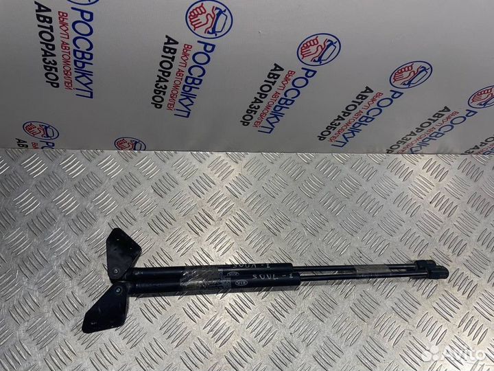 Амортизатор багажника Kia Soul (AM) I (2008–2011)