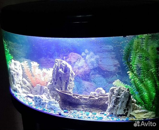 Аквариум (Панорама, с тумбой)