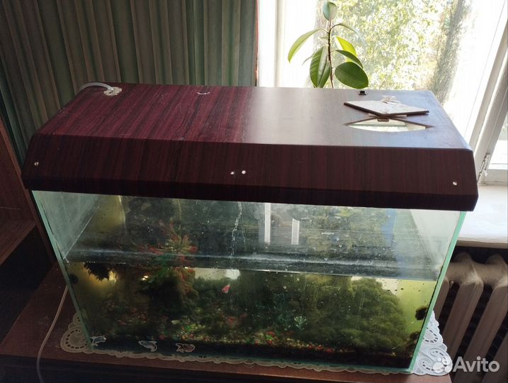 Аквариум