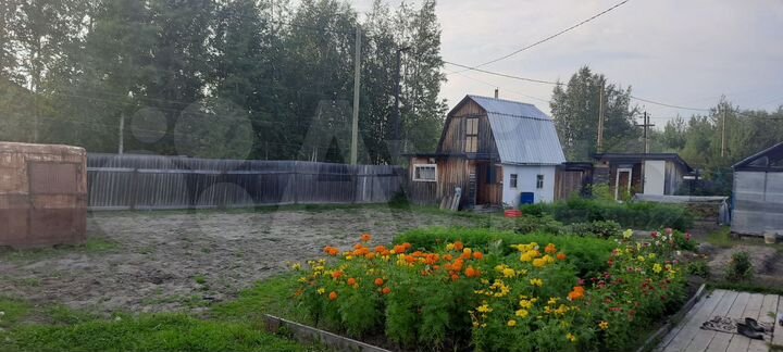 Дача 20 м² на участке 12 сот.