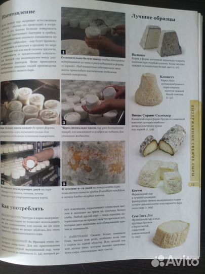 Лучшие сыры мира Джульет Харбатт