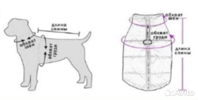 Зимний комбинезон для собаки