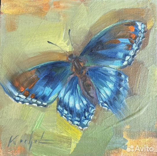 Бабочки миниатюры маслом