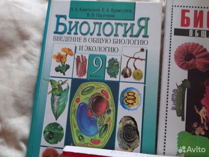 Учебники для школы